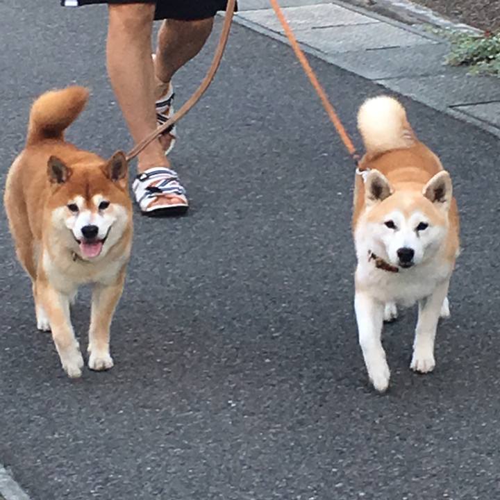 83bb348b e5c9 487d 8680 b936b3f6cbf4