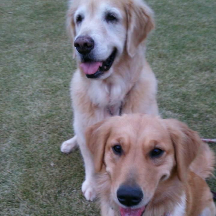 83bc5f15 6523 490c a3b7 9c8b56f020e7