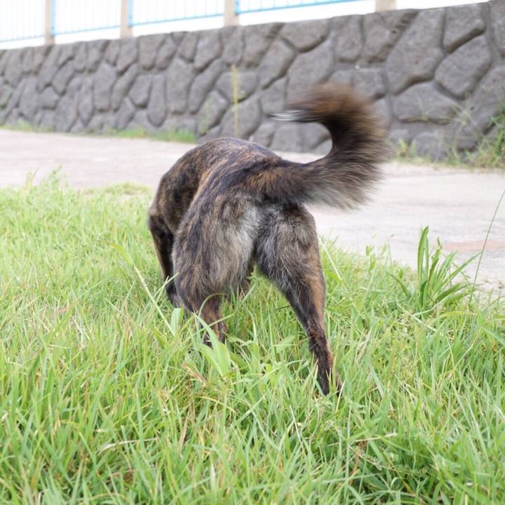 83bc7926 089e 4ef4 8b78 fc5f7188fef2