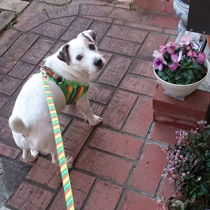 83bc9e21 e009 4952 a7b7 69cedf42c420