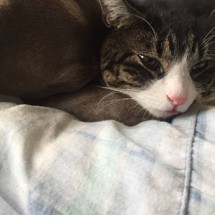 83bcef83 27fa 4dd4 b894 ec682b895b60