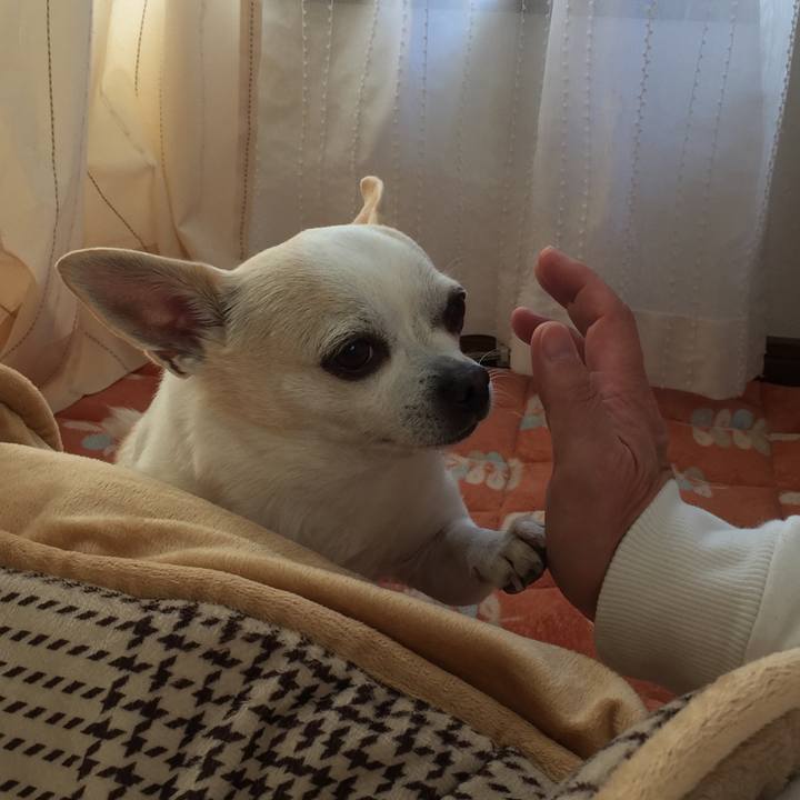 83bde8ac 5304 4fe9 a3d7 934cb938dda6