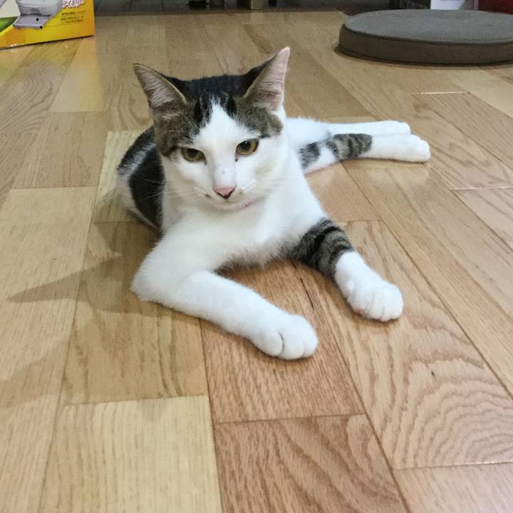 83bef319 5449 41a2 9241 8ca4969b4287