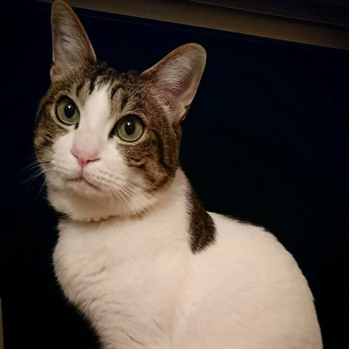 83bfdace da62 4317 8b8a 7c370472d483