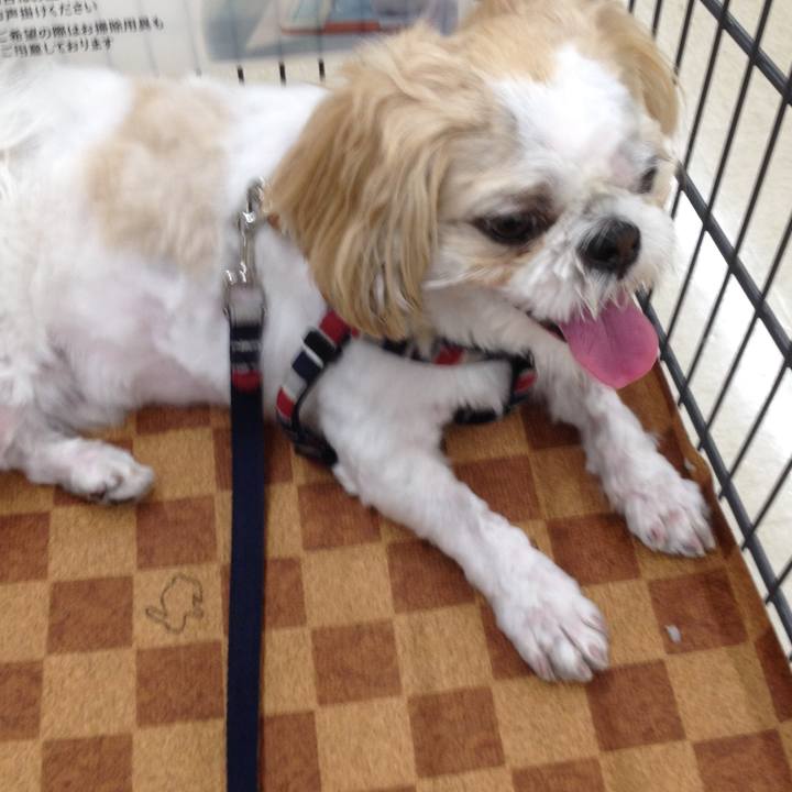 83bfec72 3832 4128 9738 4eee83032dc5