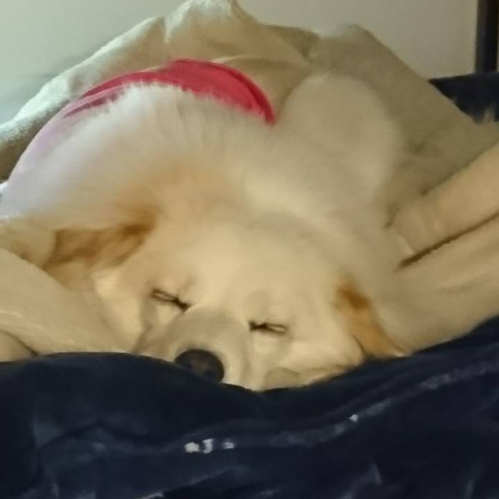 83c0ef74 fa46 481e 9e85 66970a13777c