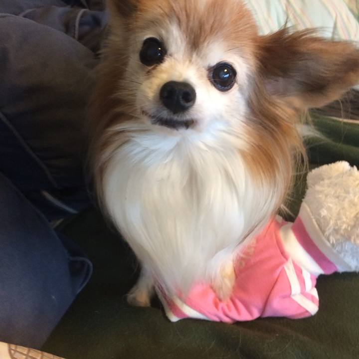 83c13e92 5bdf 487f 8a99 4b6d9d08f878