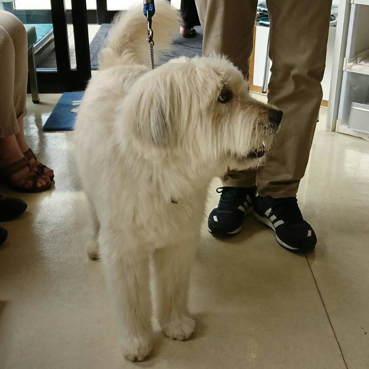 83c172d2 9dc8 445d 8eef eee73107209d