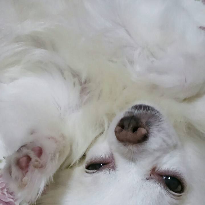 83c1b816 e50d 4b1c ba0a f7076375cf8c