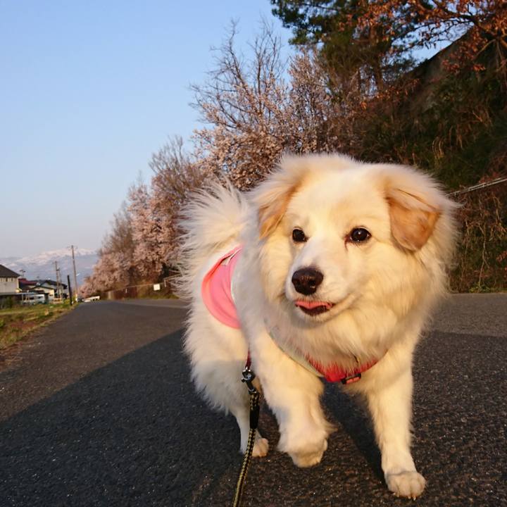 83c1bd28 800b 47da b76d 40f2489ccacb