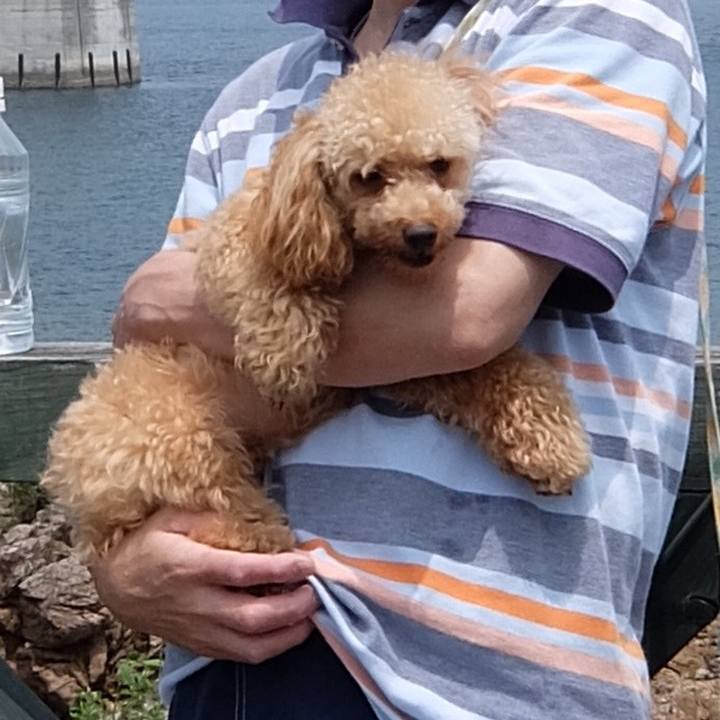 83c1f23f 9ee7 4ff7 8f0b 8b0439d88438