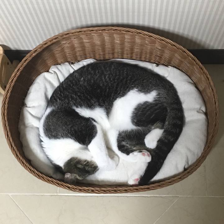 83c3099a 3abb 4d84 9250 57d459f8ada3