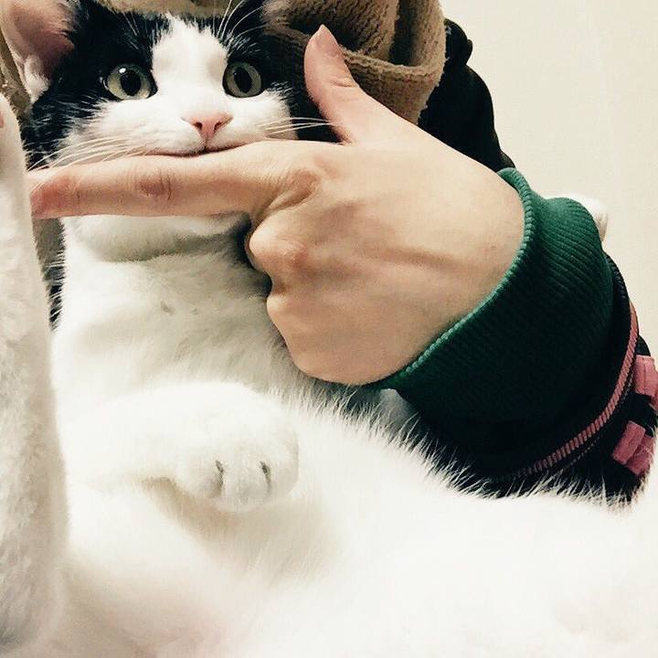 83c3d141 84f4 4723 bbd9 77ac717f6a36