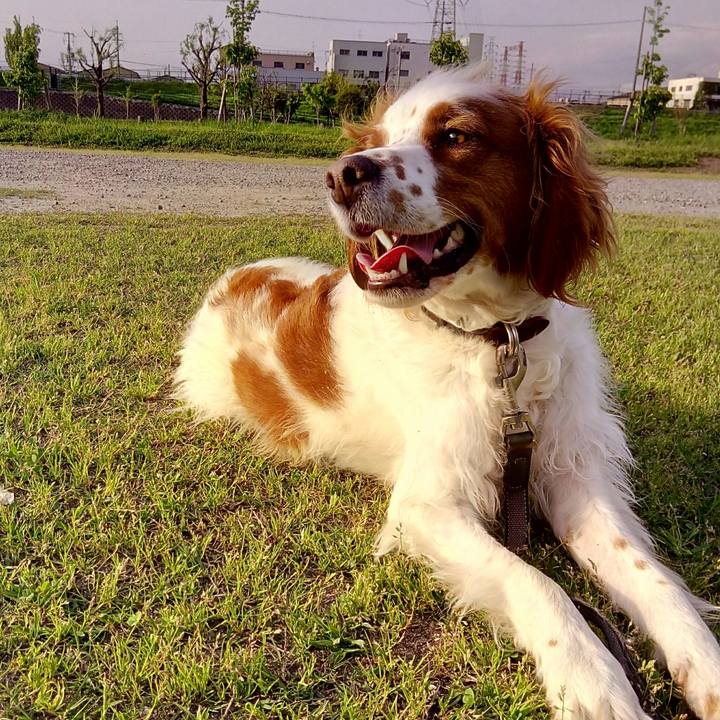 83c3fe2b 5cf3 4edc 8346 dba61d0b912b