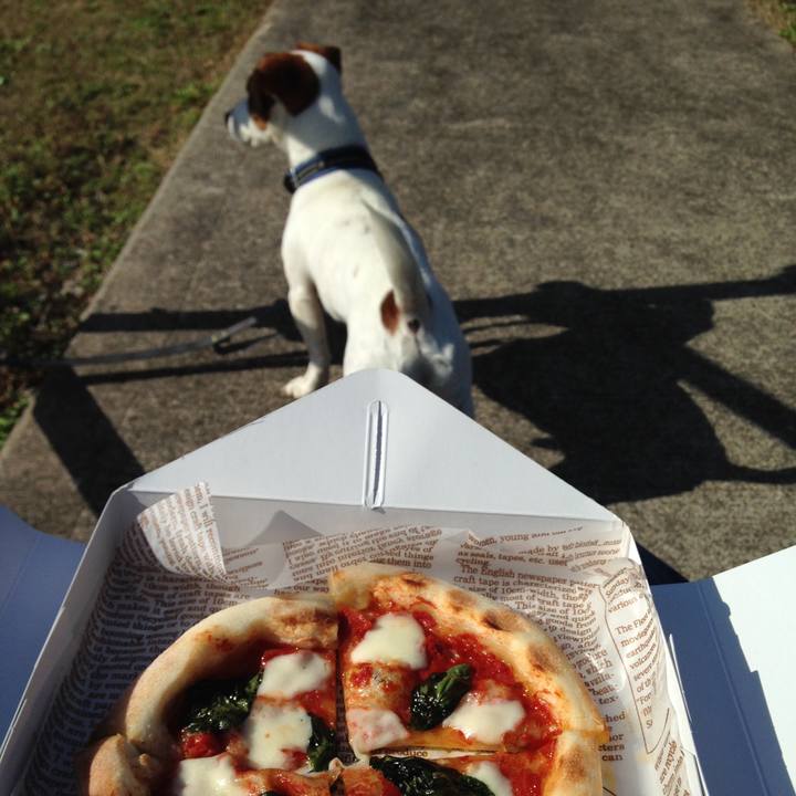 83c4763a ddd0 4f18 89de 15bb4b23731f