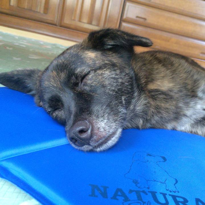 83c495ee 4dd0 46c7 af79 bf7bf7a577ea