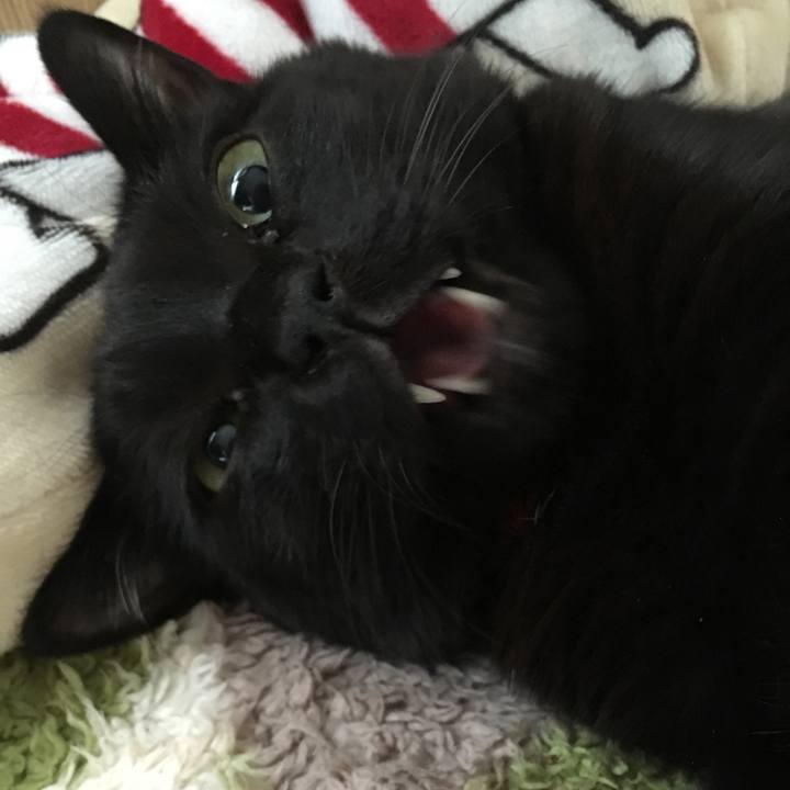 83c4bf9c e26d 42b1 9bb5 72c96527f4d5