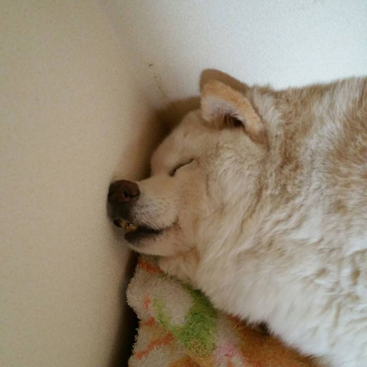 83c4d144 8b32 484d b337 2d1bb77af795