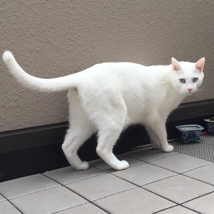 83c5c3e8 dea5 4c06 982c 3294d707e5de