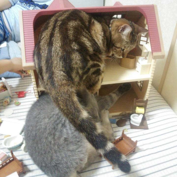 83c65494 5d25 4a4f 85b9 426bcbb476e4