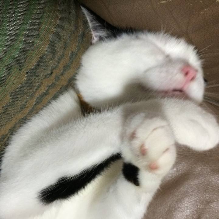 83c69d20 2f50 4cc0 93c1 c680dad80a1f