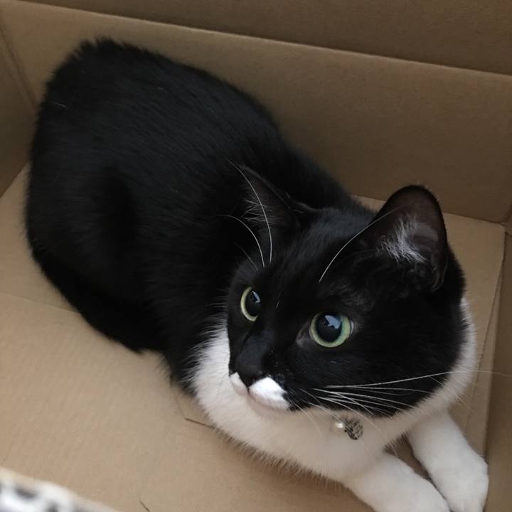 83c6ae1f f6ae 4f69 8113 4a781b107312