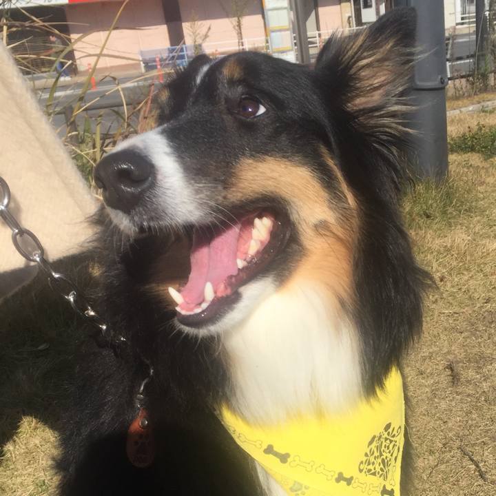 83c7f407 4f84 4567 92ec 57c11ff077a7