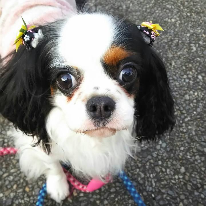 83c8faf6 1fa3 49e2 84d5 5b80a5eb3bb9