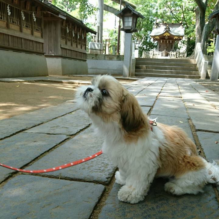 83c95b94 a1cf 4c57 a8b2 9176a679da22