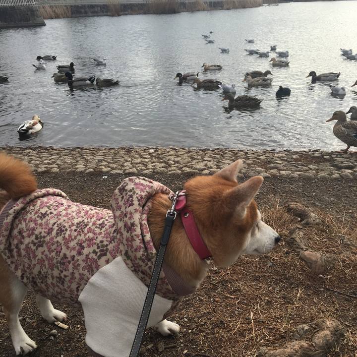 83ca2a2e 3933 49aa 8d78 e541f7cb22af