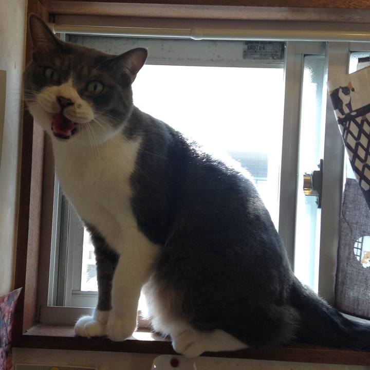 83ca9ceb 2be8 4856 93af a894a16eb0a1