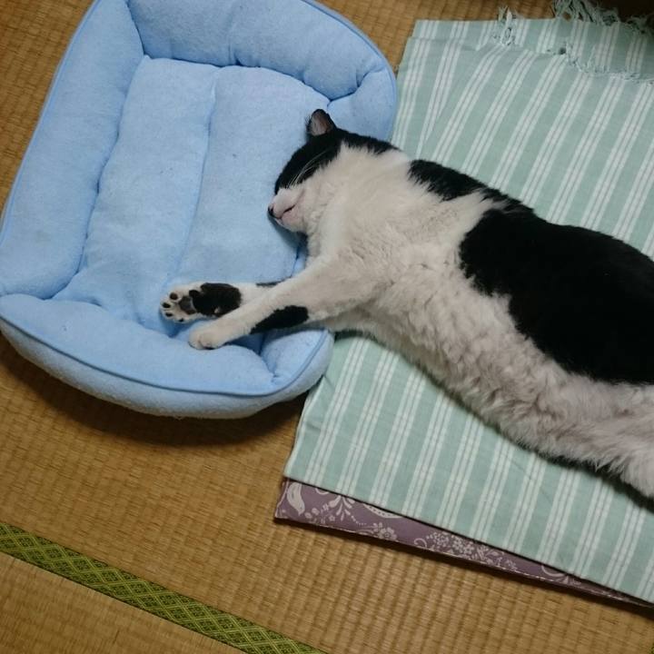 83cb6c8d 0c46 4322 8796 5f5b14a45716