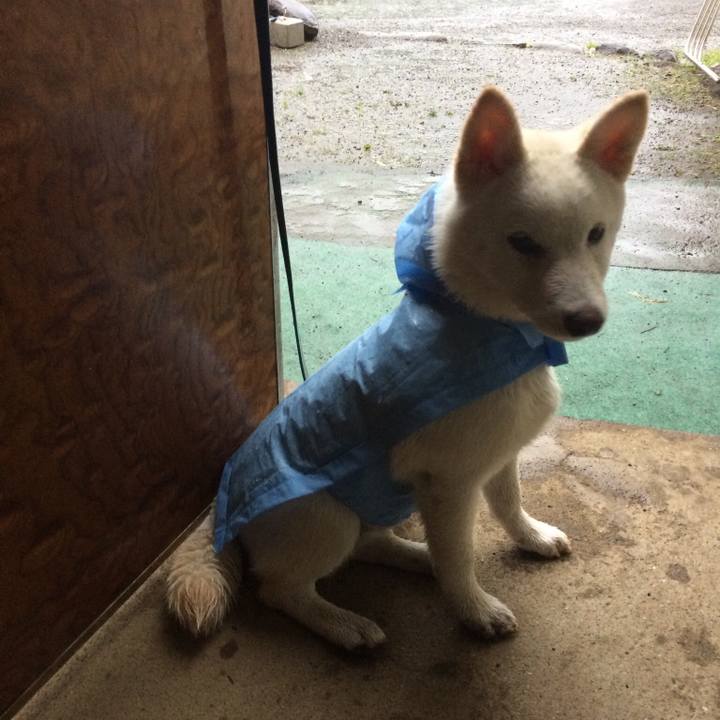 83cba4b0 b264 4aa4 812e 4fa5660ee551