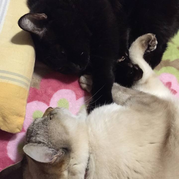 83cc1525 3017 4691 bfcf 8aff4c9fbdd4