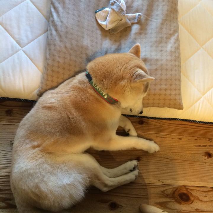 83cd09be 3710 44c4 a4d3 b5bc1ab18f8b