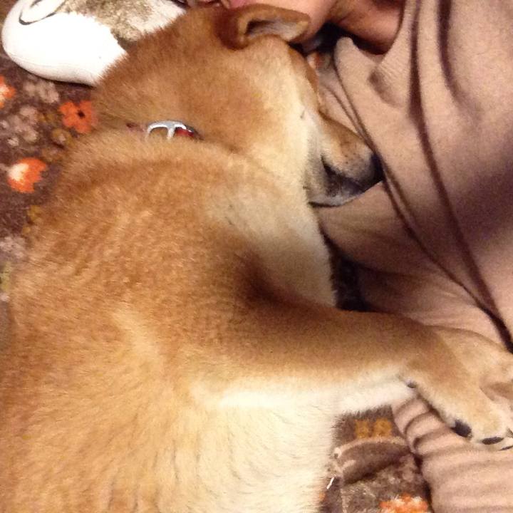 83cd4d28 640c 499a a55f 10cd24dad46b