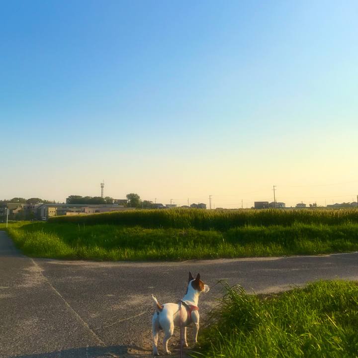 83cd7b85 3ccf 49b3 9191 2000d18b14ce