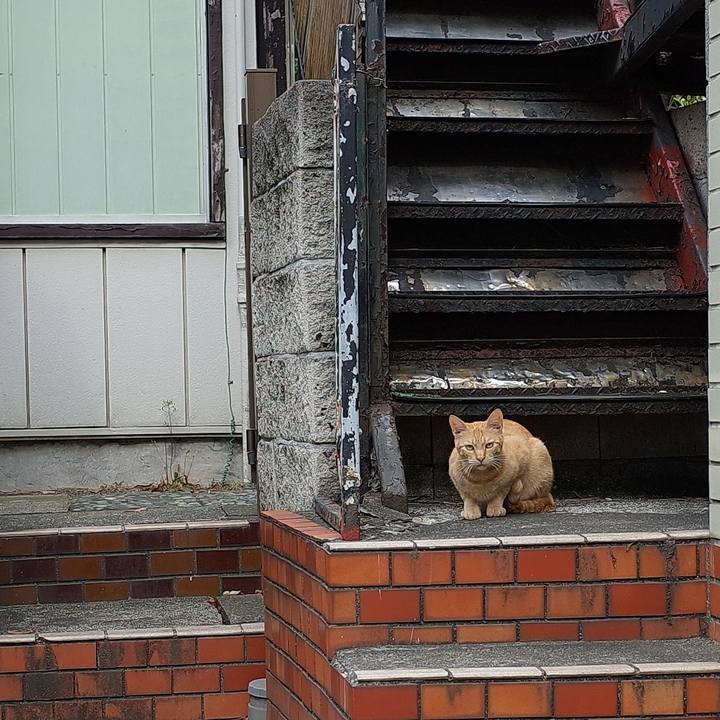 83cd8044 81ec 4eac a781 8ccc1db66355