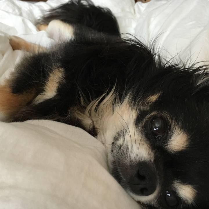 83cdf00e 9149 4a77 bb5f cba85abfe8e1