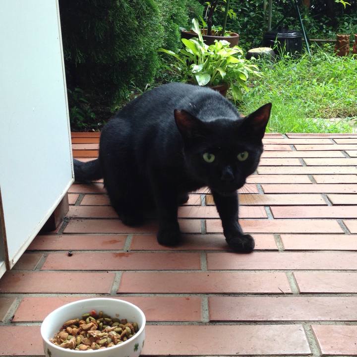 83cef8e2 84a7 4547 812e 0283e08e20ef