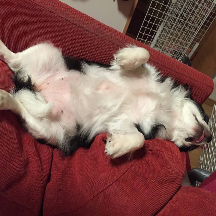 83cf2b3a 670a 412f 8929 247f1d707469