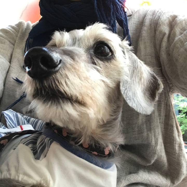 83cfa643 057a 4b47 8244 ad8931e8c00c