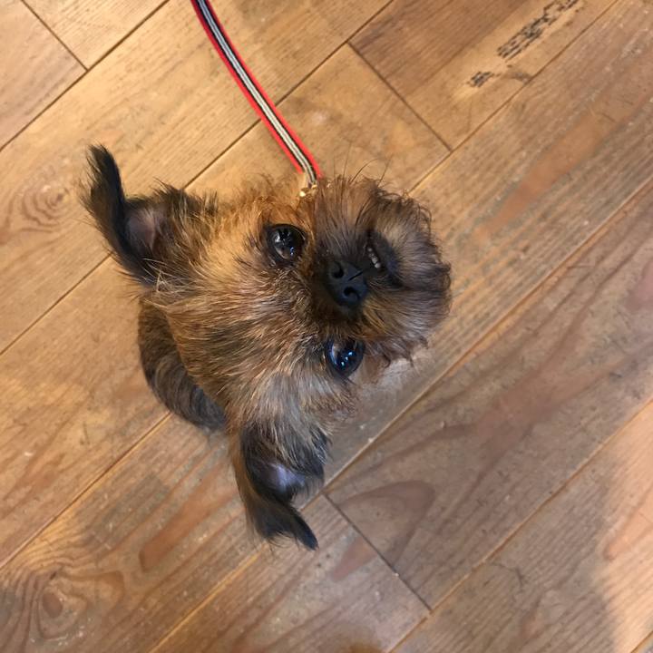 83d07061 c59a 4b05 812a 8ff85827fc06