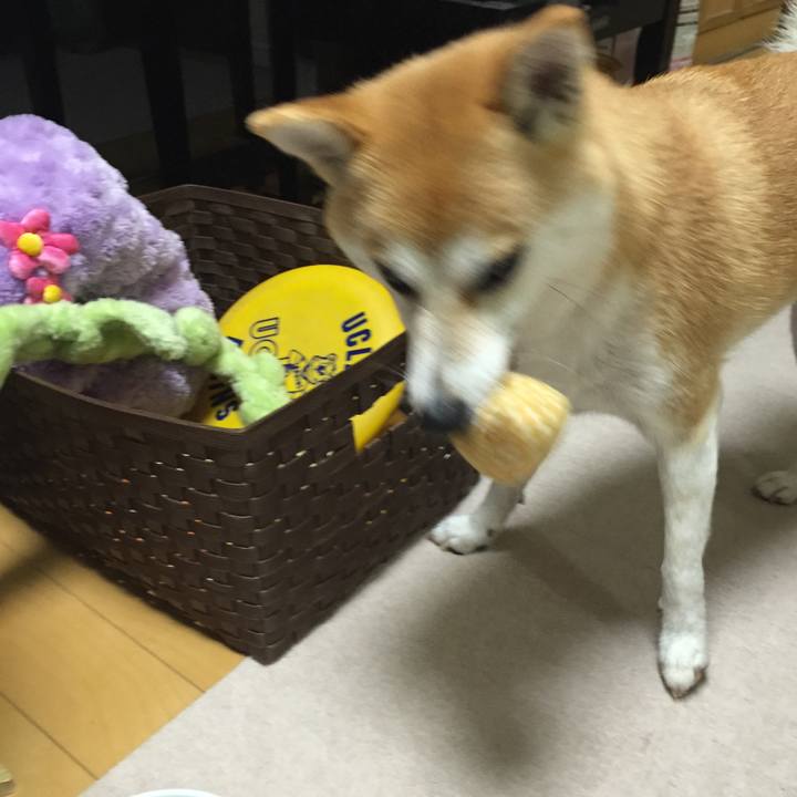 83d0bd4e 1c86 42a8 9b04 5e3adeb5939c