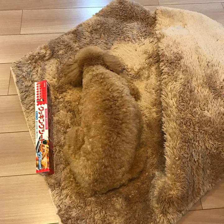 83d17603 020b 452e a9c4 ba7a3b7c2644