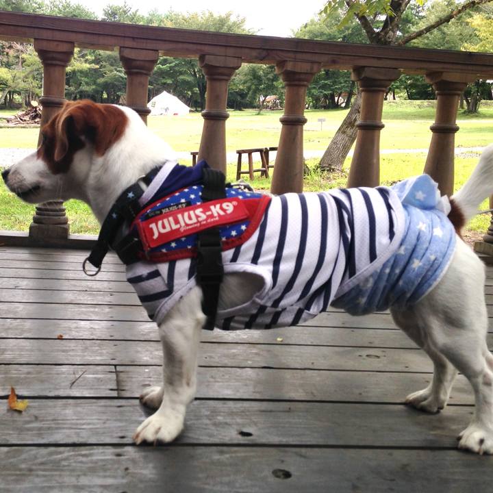 83d1a0fd ab22 406b accd dc0b53999903