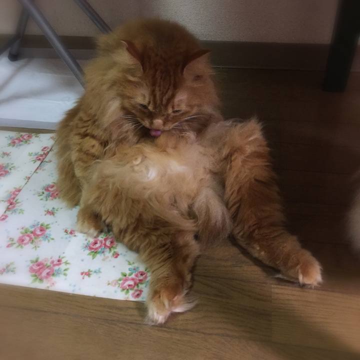 83d1adaa 5e25 43e9 b149 2dab2f0d49d6