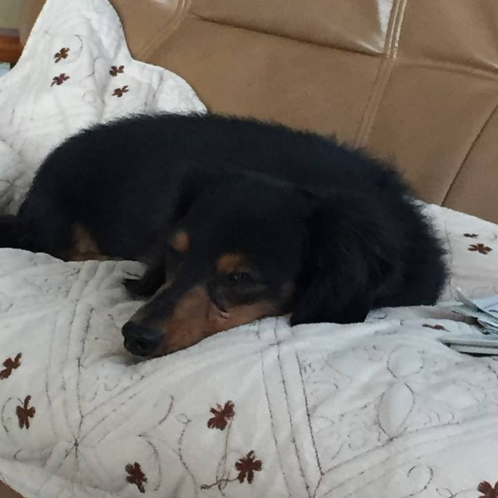 83d1d4de 7197 450a 98c0 bef52c6a9539