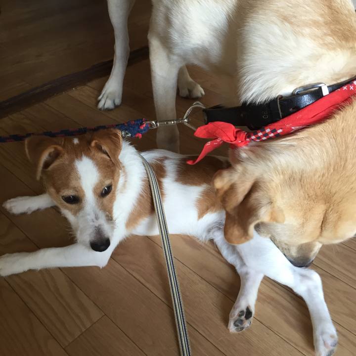 83d30ba7 5bca 4da6 a079 a8a82a9ff8f0