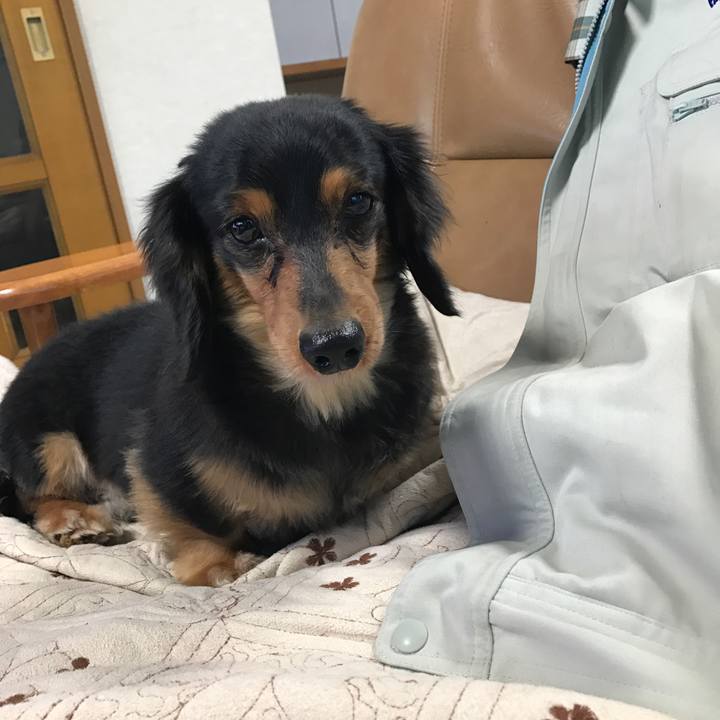 83d3953d 5140 4119 8ddc 8ca80fc4255b